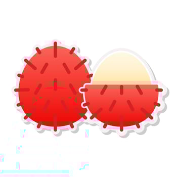 Rambutan sticker icon, Vector, Illustration. vector