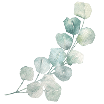 natural leaf watercolor png