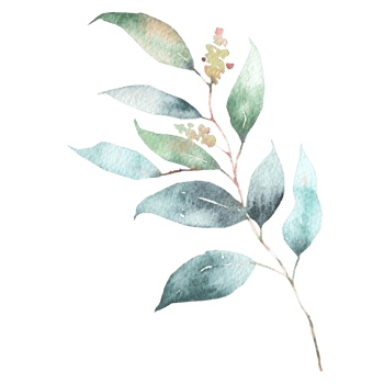 natural leaf watercolor png