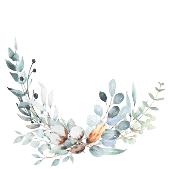 Watercolor elements bouquet of leaves and cotton flowers png