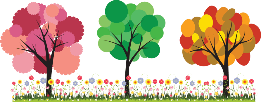 Colorful tree isolated png