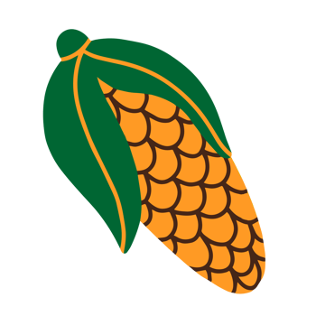 Ripe corn illustration png