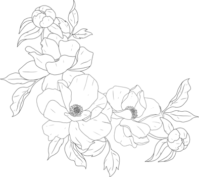 doodle line art peony flower bouquet elements png