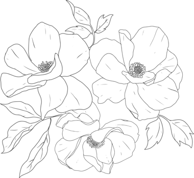 doodle line art peony flower bouquet elements png