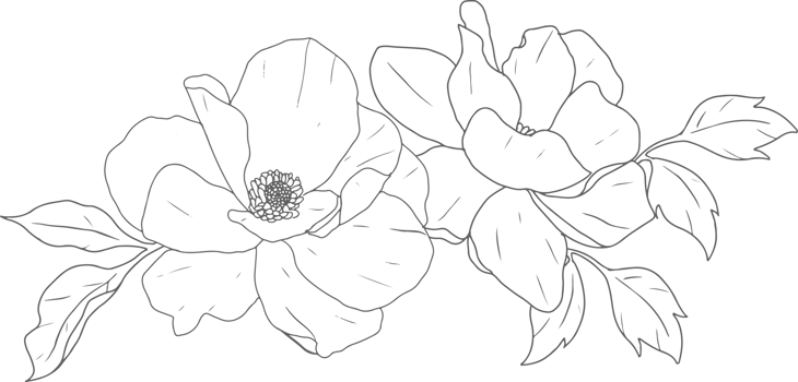 doodle line art peony flower bouquet elements png