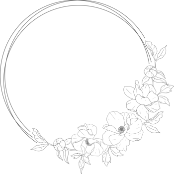 doodle line art peony flower bouquet wreath frame elements png