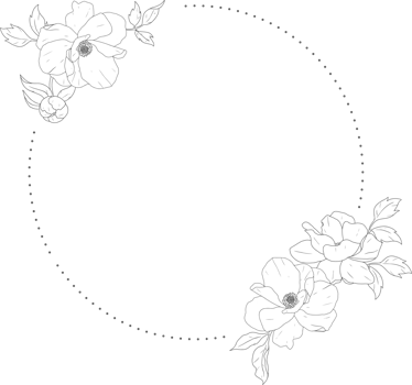 doodle line art peony flower bouquet wreath frame elements png