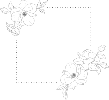 doodle line art peony flower bouquet wreath frame elements png