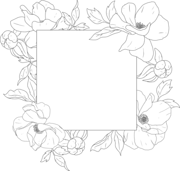 doodle line art peony flower bouquet wreath frame elements png