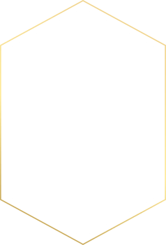 Luxury Wedding Invitation Gold Frame png