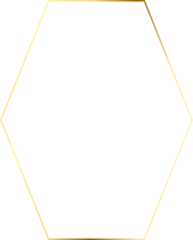 Luxury Wedding Invitation Gold Frame png