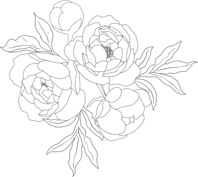 doodle line art peony flower bouquet elements png