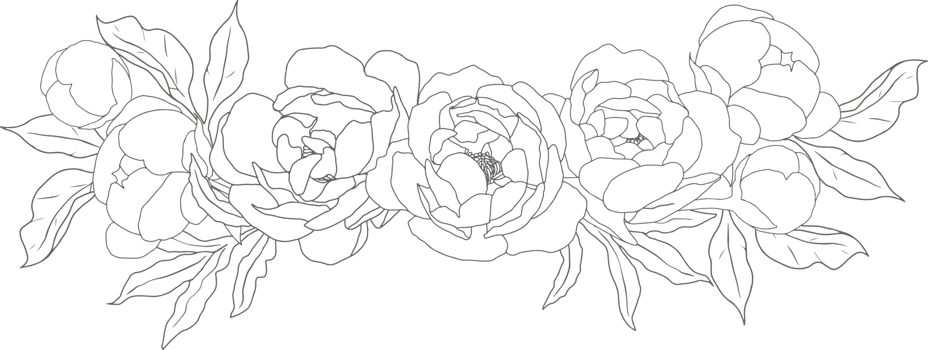 doodle line art peony flower bouquet elements png
