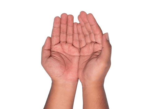 two open palms, concept of asking and praying muslims, isolated on green background png