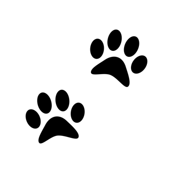 paw icon set black icon png transparent