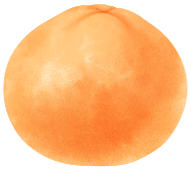 Orange Fruit Watercolor illustration png