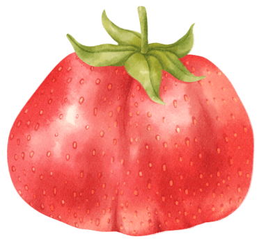 Strawberry fruit Watercolor illustration png