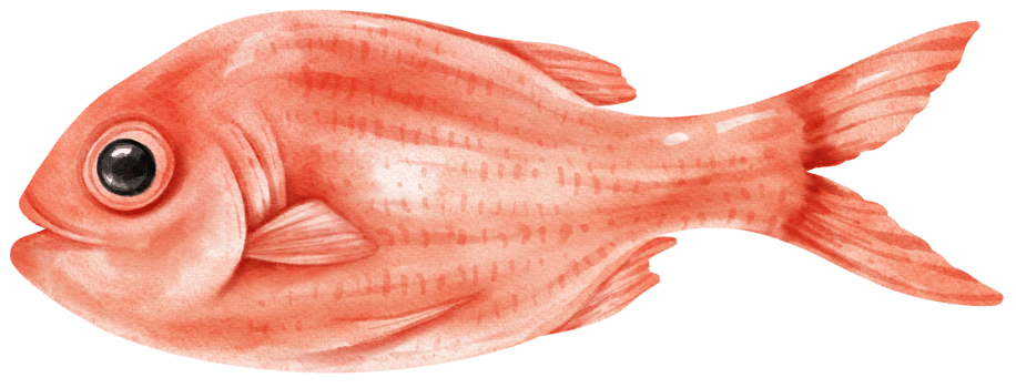 Fish Seafood Watercolor illustration png