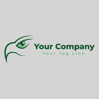 eagle eye logo and camera vector