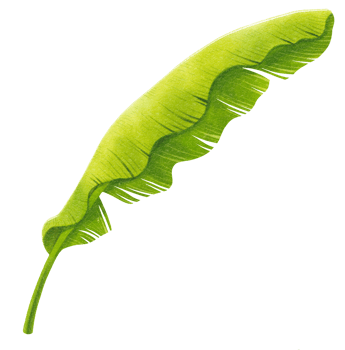 Banana leaf watercolor png