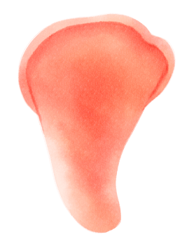 pink oyster mushroom watercolor illustration png