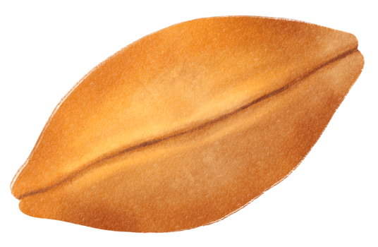 Dorayaki Watercolor illustration png