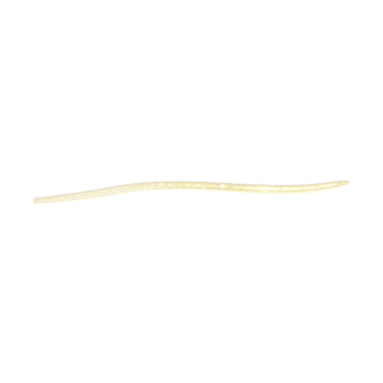Gold Glitter Line png