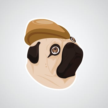 dog brown hat vector