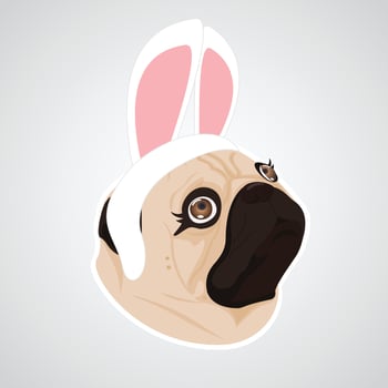 lady dog rabbit vector