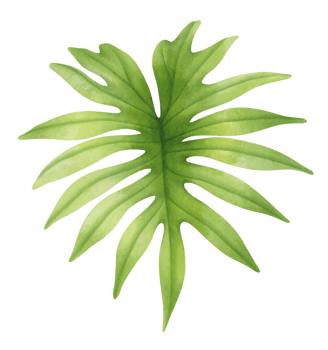 Tropical Green Leaf illustration in Watercolor png