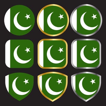 pakistan flag vector icon set with gold and silver border