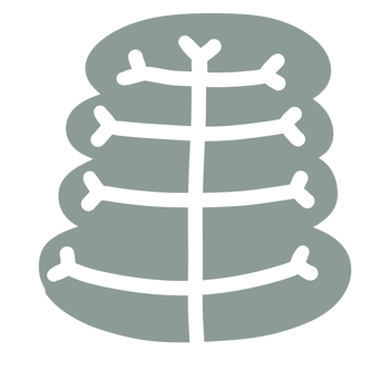Cute Tree Shape png