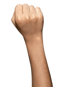 Hands isolated on white background png