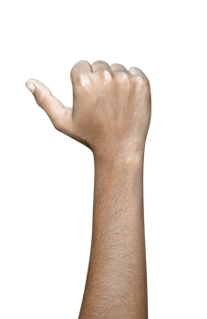 Hands isolated on white background png