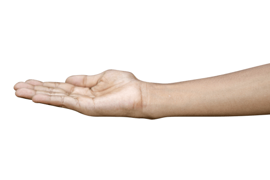 Hands isolated on white background png