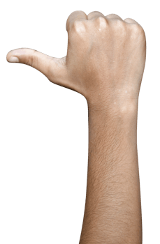 Hands isolated on white background png
