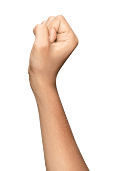 Hands isolated on white background png