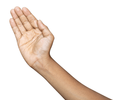 Hands isolated on white background png