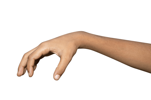 Hands isolated on white background png