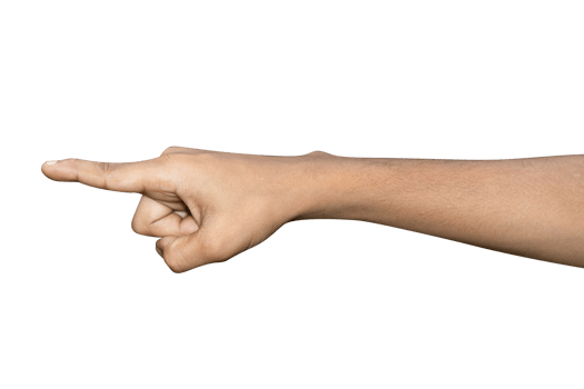 Hands isolated on white background png