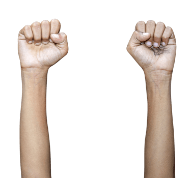 Hands isolated on white background png