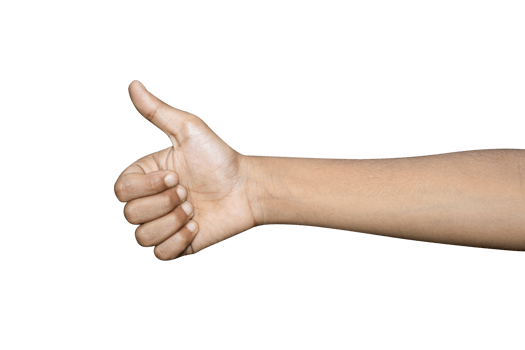 Hands isolated on white background png
