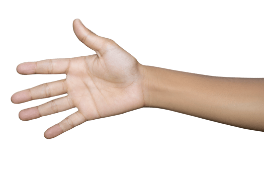 Hands isolated on white background png