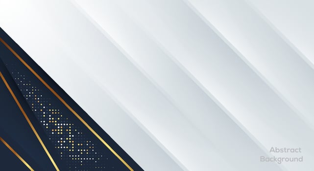 Luxury paper cut backgrounds with golden line and halftone gradients Vector illustration.