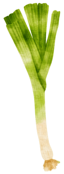 leek vegetable watercolor illustration png