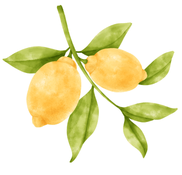 watercolor branch of lemon fruits png