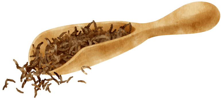 dried green tea leaves in wooden scoop watercolor png