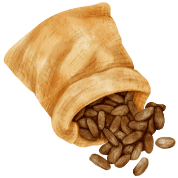 watercolor cocoa beans in burlap bag png