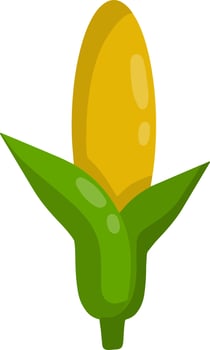 Corncob. Yellow green plant. Farming item. Corn and maize. Natural food. Cartoon flat illustration vector