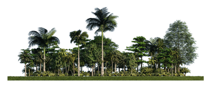 3ds rendering image of 3d rendering trees on grasses field png